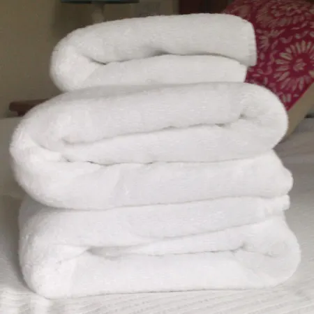 Trelawney House Bed & Breakfast 3*